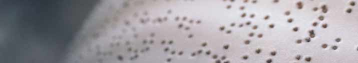 A page of Braille