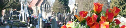 Flowers and a cemetery
