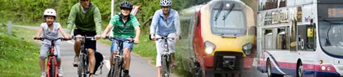Different types of transport